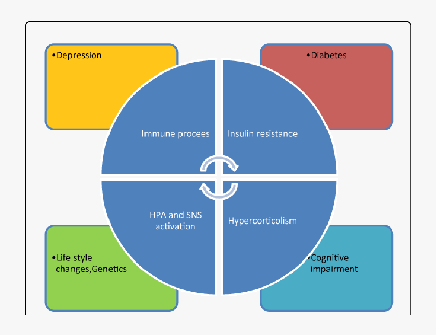 Benefits Of Sap S 4 Hana, HD Png Download