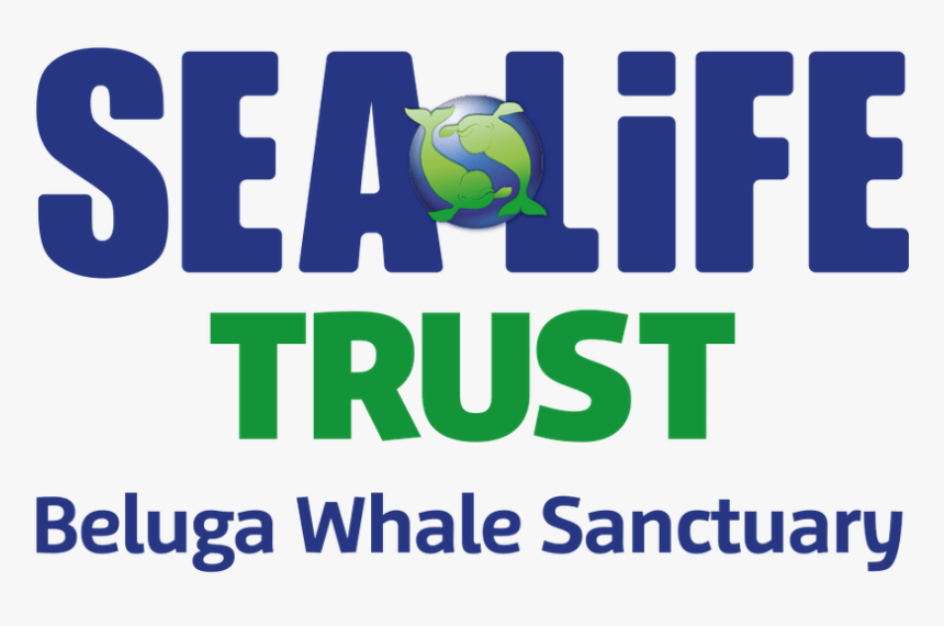 Sea Life Trust Beluga Whale Sanctuary Logo - Sea Life Trust Beluga Whale Sanctuary, HD Png Download