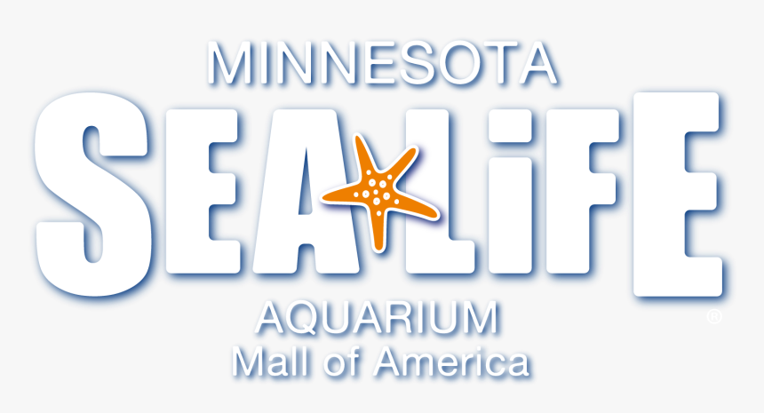 Animacion 3d, HD Png Download