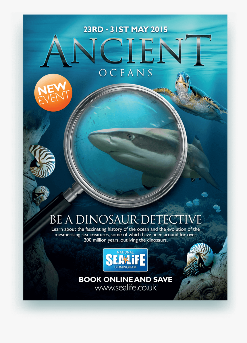 Tiger Shark, HD Png Download