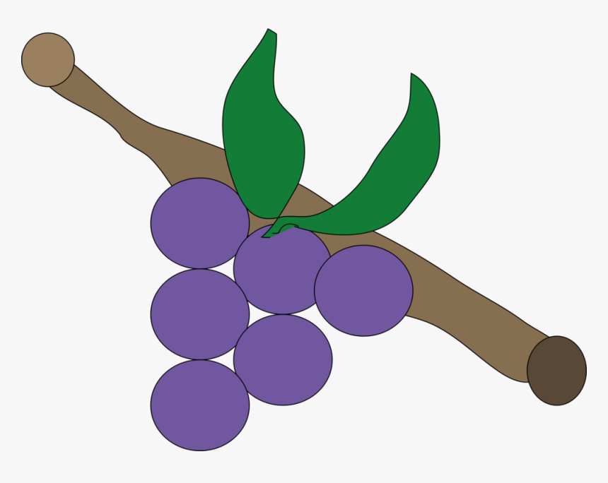Plant,grape,grapevine Family - Uva Lila, HD Png Download