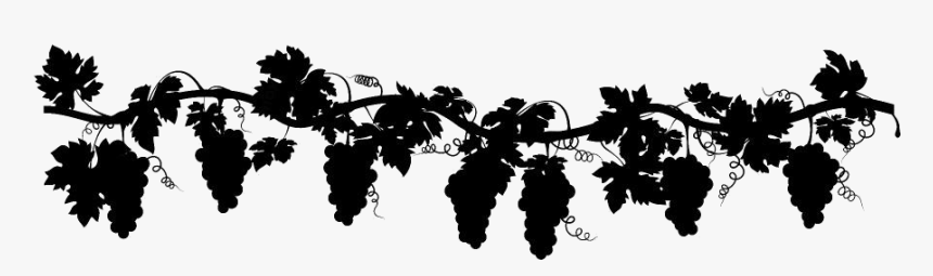 Grapevine Png Transparent Images - Grape Vines Clip Art Silhouette, Png Download