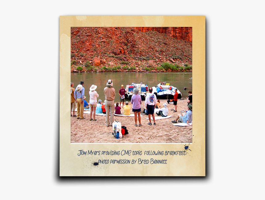 Egg Hunt, HD Png Download