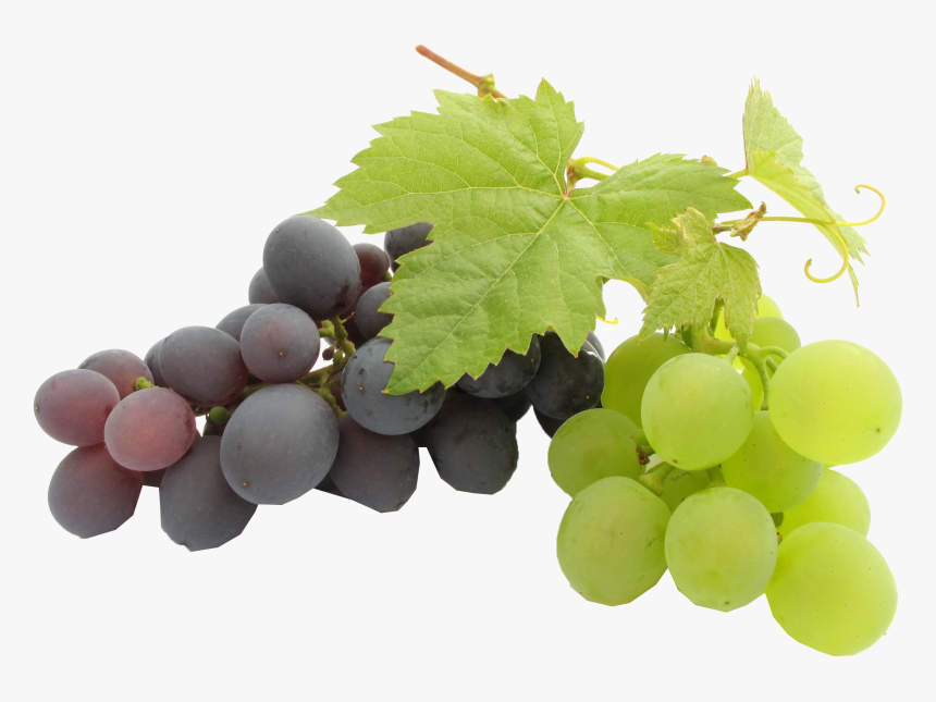 Play Transparent Background - Sonaka Seedless Grapes Png, Png Download