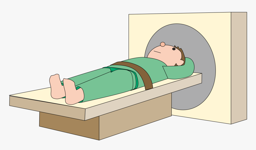 Scanner Free On Dumielauxepices Net - Ct Clipart, HD Png Download