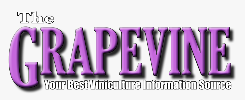 Graphics, HD Png Download