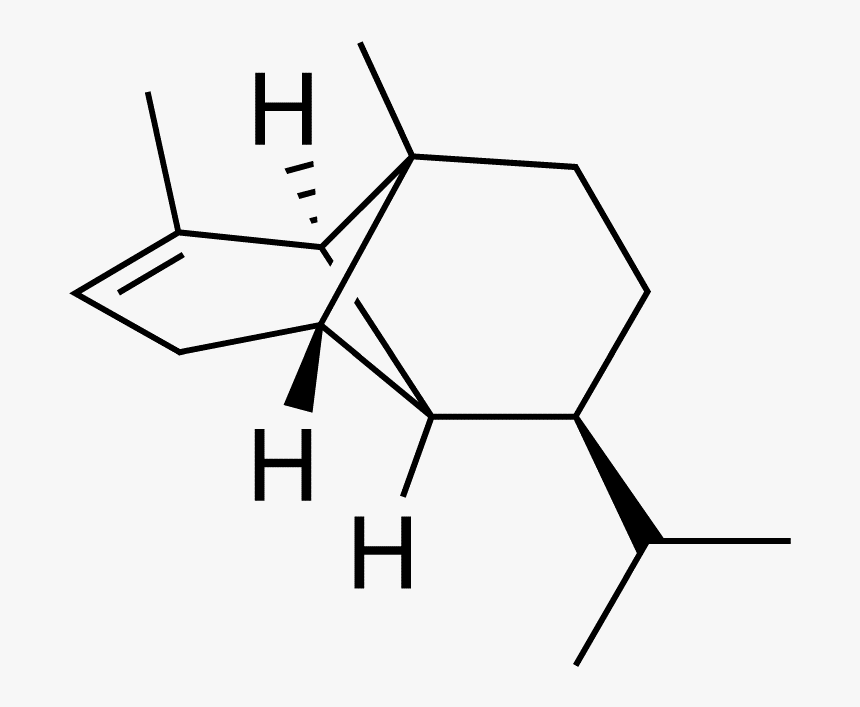 Alpha Copaene Minus - Copaene, HD Png Download