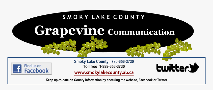 Logo - Fruit, HD Png Download