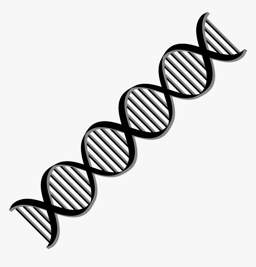 Dark And Dna Background - Clipart Dna Double Helix, HD Png Download