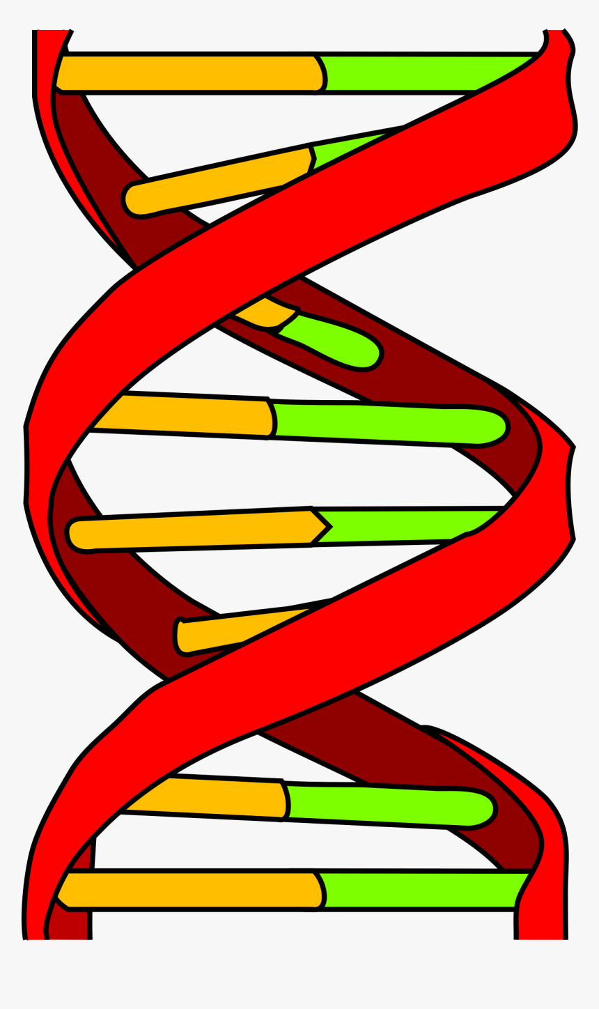 Dna Icon Clipart , Png Download - Dna Memes, Transparent Png