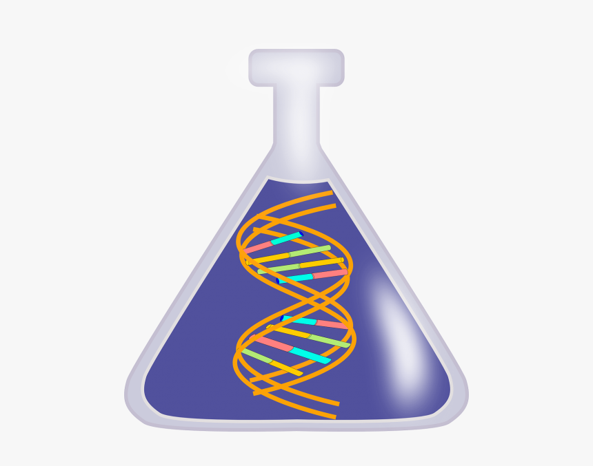 Dna Rna Genetics - Dna Extraction Clipart, HD Png Download