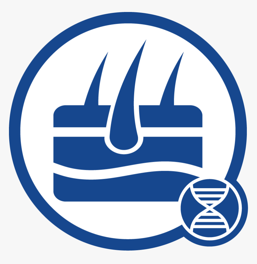 Tissue Dna Icon - Emblem, HD Png Download