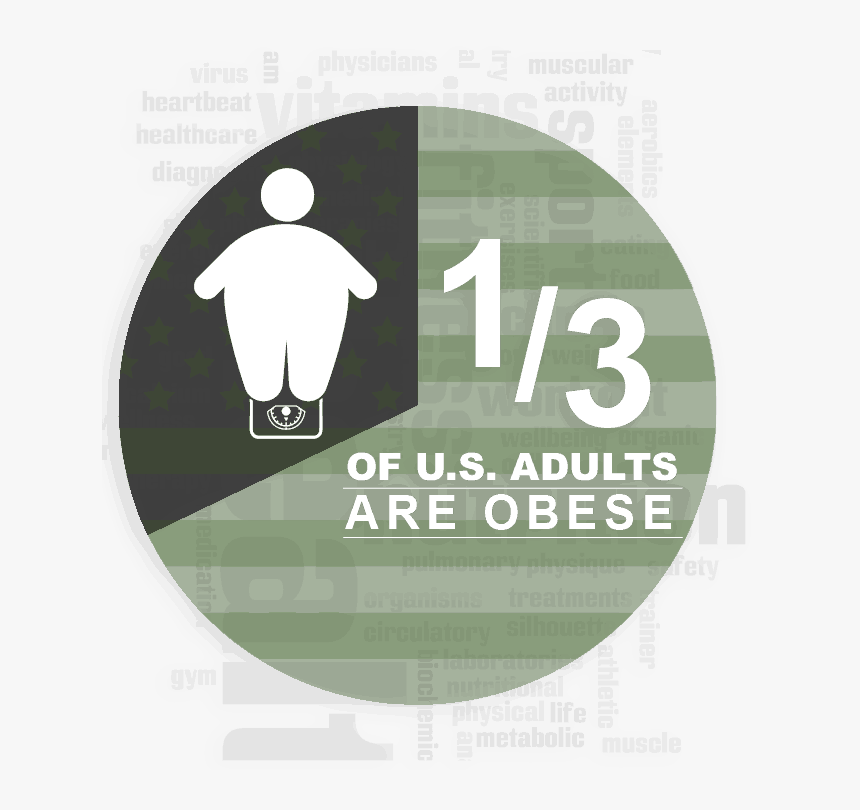 Obesity Infographic - Flyer, HD Png Download