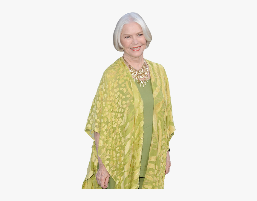 Silk, HD Png Download