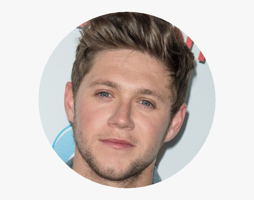 Niallhoran - Boris Kleyman Png, Transparent Png