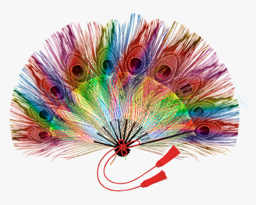 #mq #peacock #feathers #fan #handfan - Peacock Feather Fan Art, HD Png Download