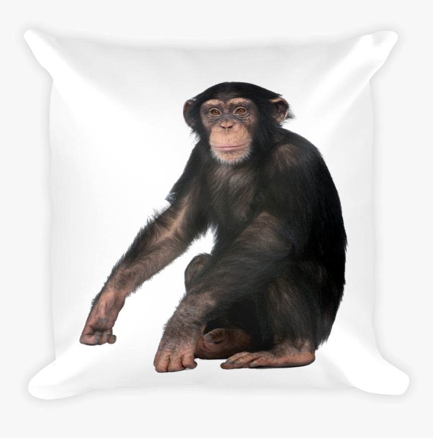 Class Lazyload Lazyload Mirage Cloudzoom Featured Image, HD Png Download