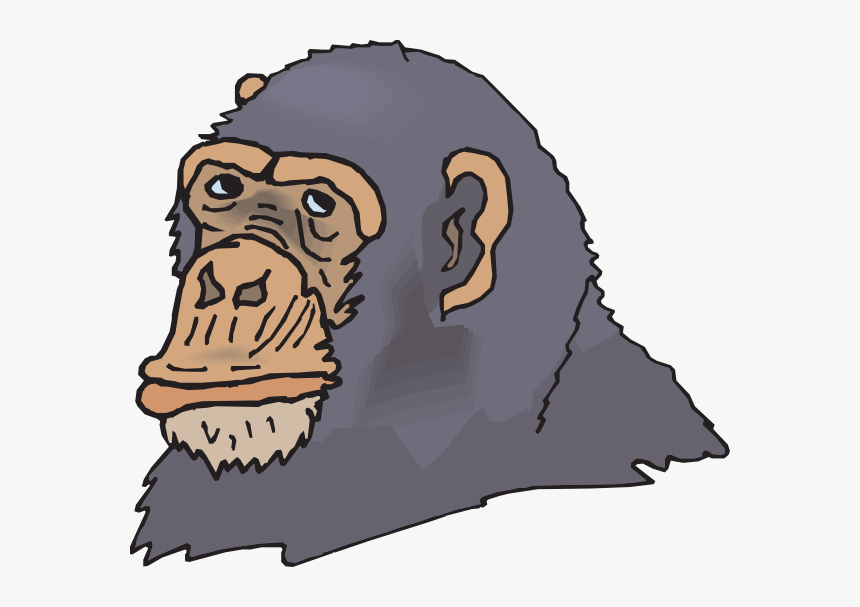 Chimpanzee, HD Png Download