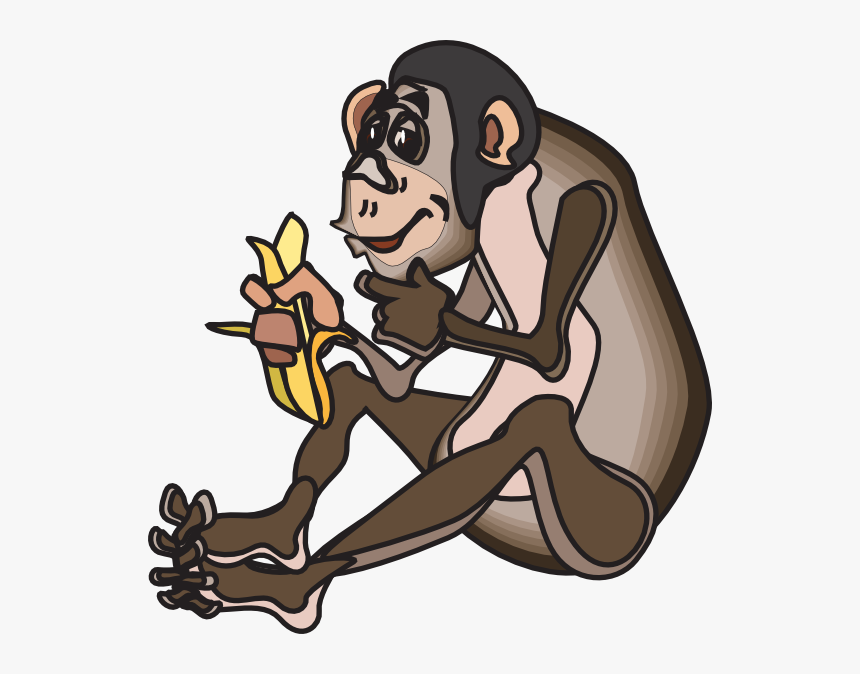 Monkey Eating Banana Png, Transparent Png