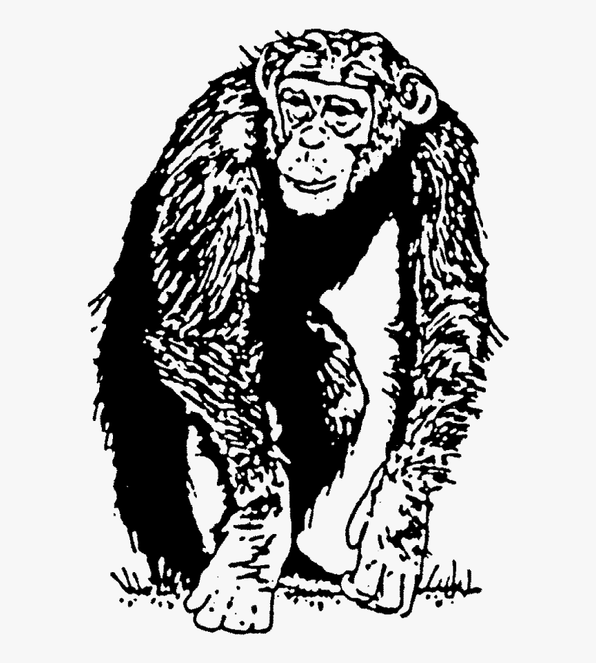 Chimp Rubber Stamp 
 Title Chimp Rubber Stamp - Endowment Effects In Chimpanzees, HD Png Download