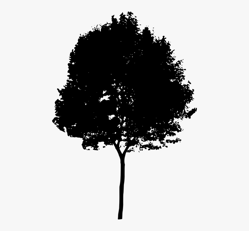 Tree, Bush, Nature, Leaves, Trunk, Silhouette - Architecture Tree Silhouette Png, Transparent Png