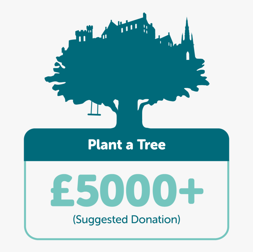 Plant A Tree £5000 - Tree Time, HD Png Download