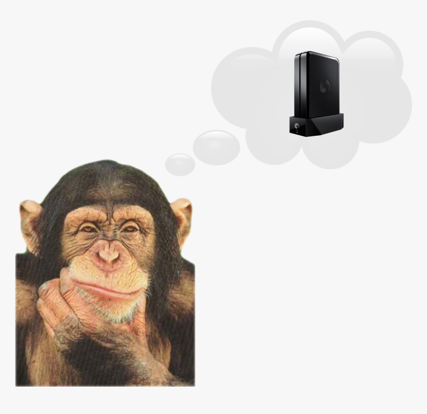 Chimp Png, Transparent Png