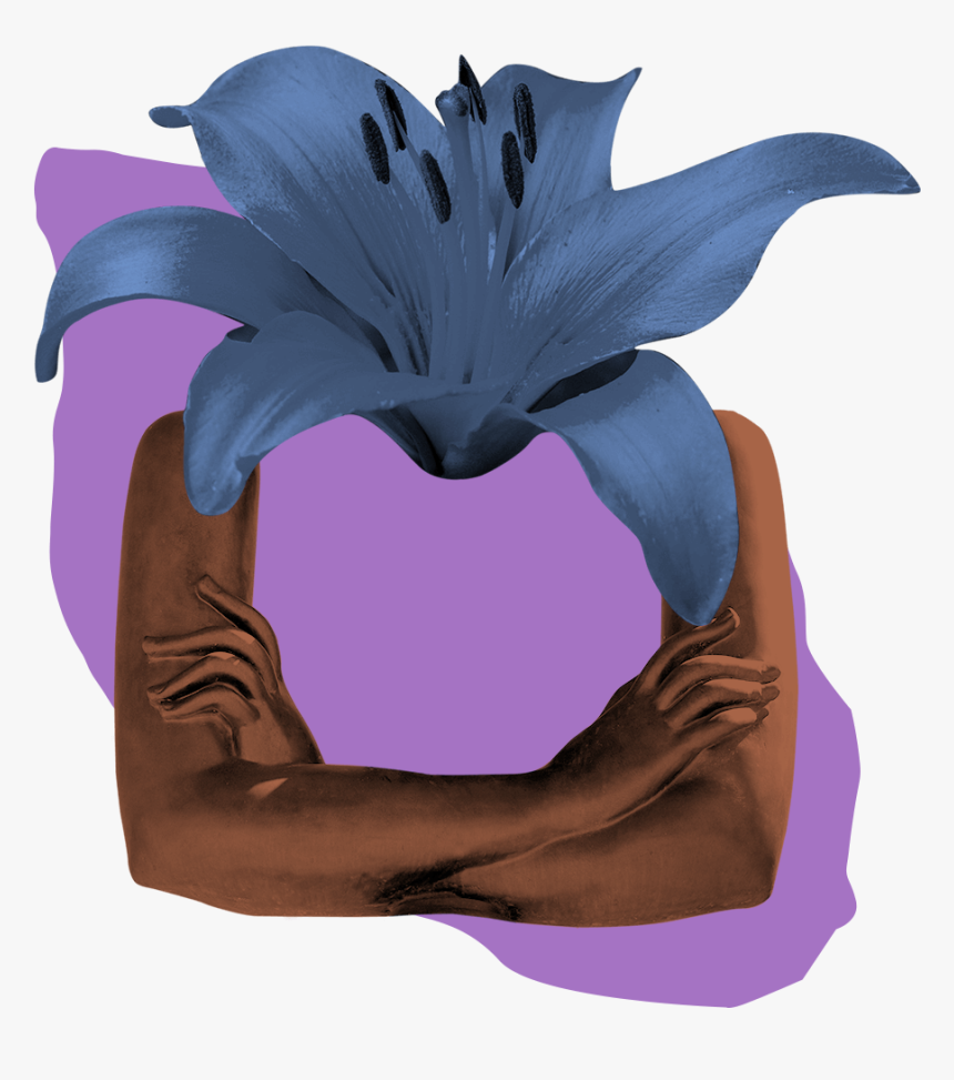 Bromelia, HD Png Download