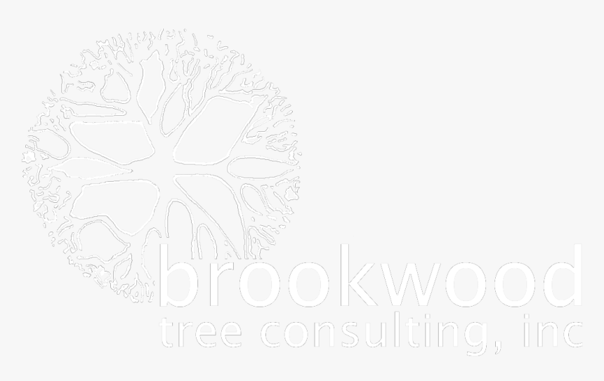 Line Art, HD Png Download