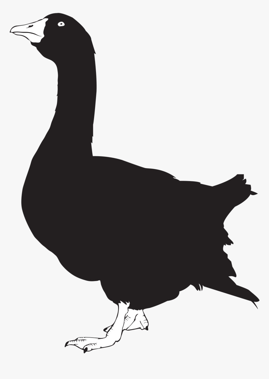 Geese Silhouette Png, Transparent Png