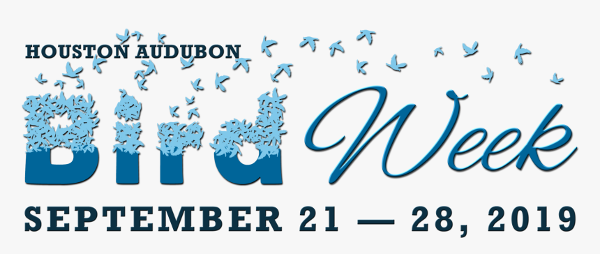 Arte Salão De Beleza, HD Png Download