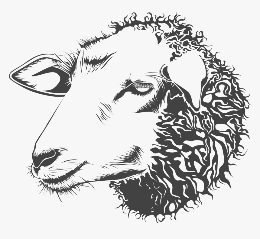 Sheep Head Black And White, HD Png Download