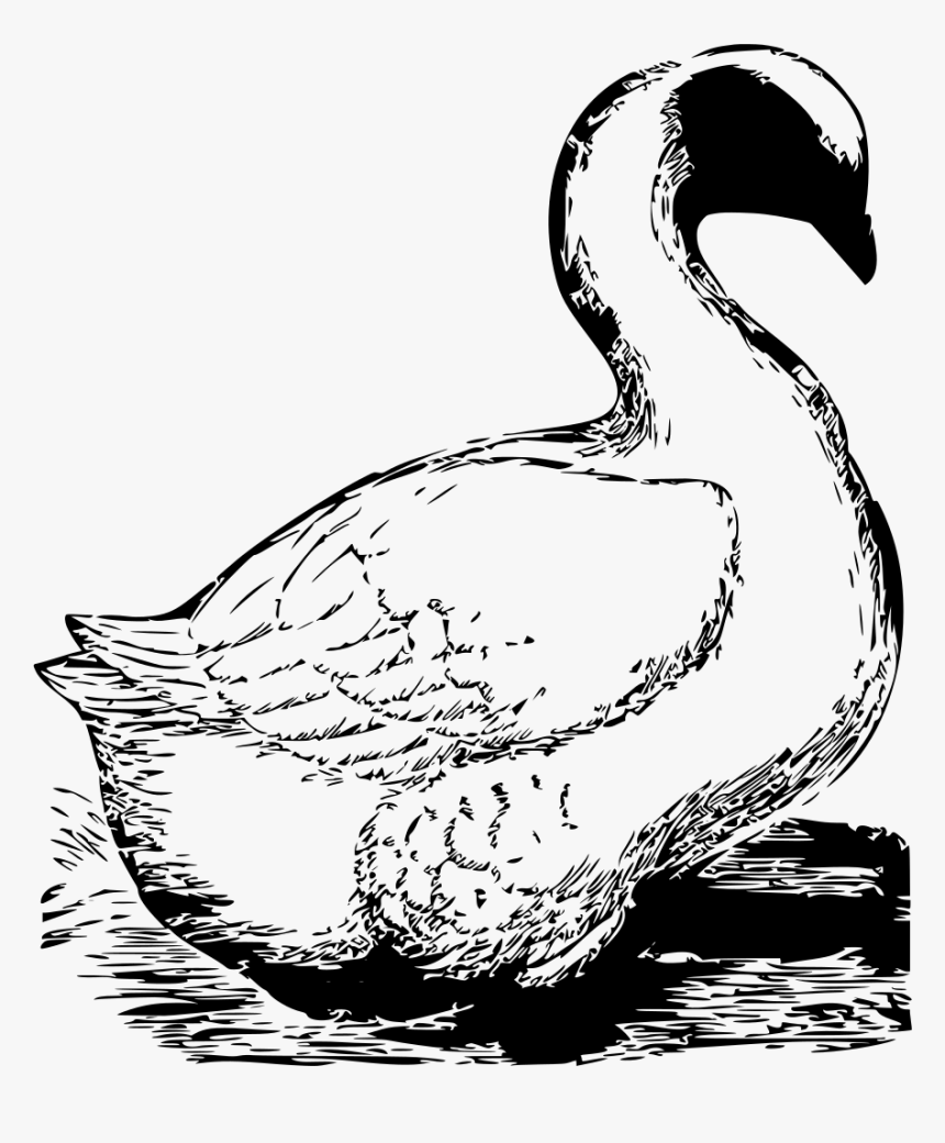 Goose Clip Art, HD Png Download