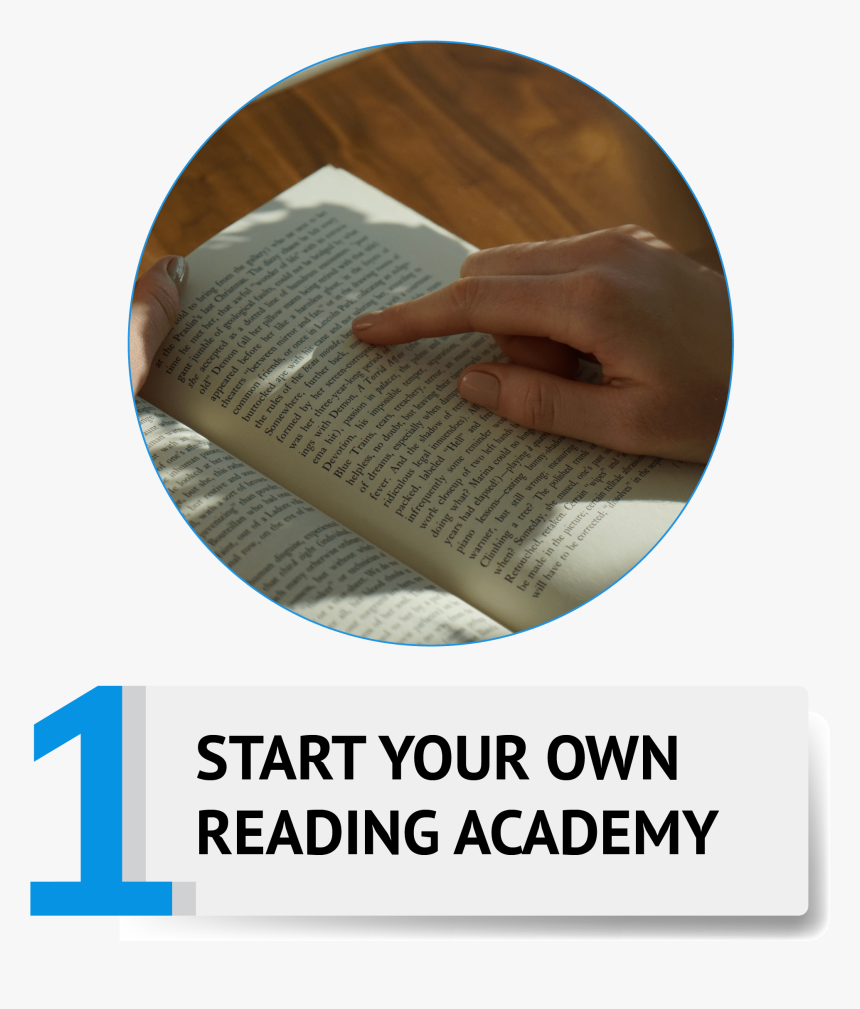 Plywood, HD Png Download