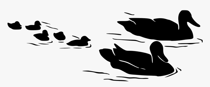 Birds In Water Silhouette, HD Png Download