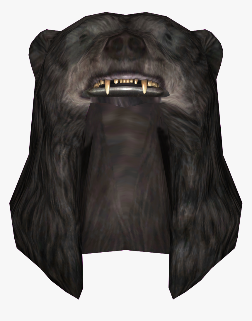 Elder Scrolls - Skyrim Bear Hat, HD Png Download