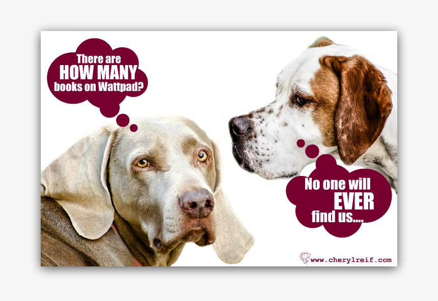 How Many Books - Effetti Della Castrazione Chimica, HD Png Download