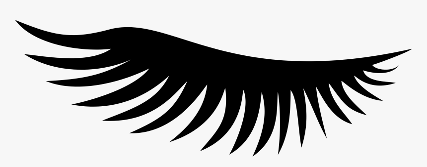 Clip Art Eyelash Illustration - Eyelash Extensions, HD Png Download