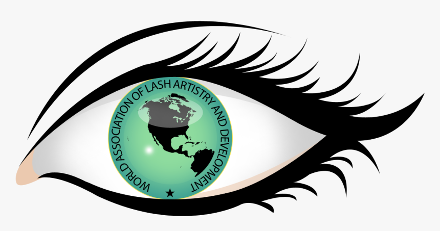Meet Andrea Wright Eyelash - Our Products, HD Png Download