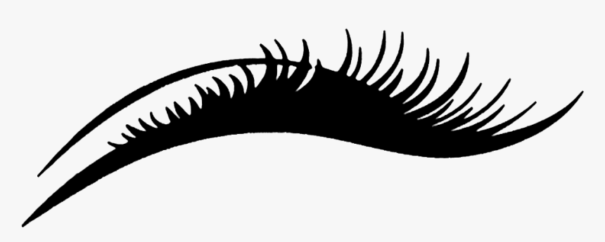 Clip Transparent Library - Illustration, HD Png Download