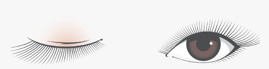 Eyelash Extensions, HD Png Download