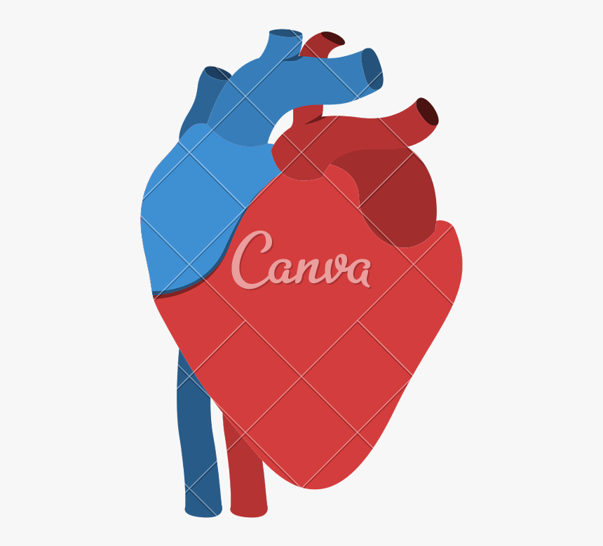 Human Anatomy Icon Png - ANATOMY STRUCTURE