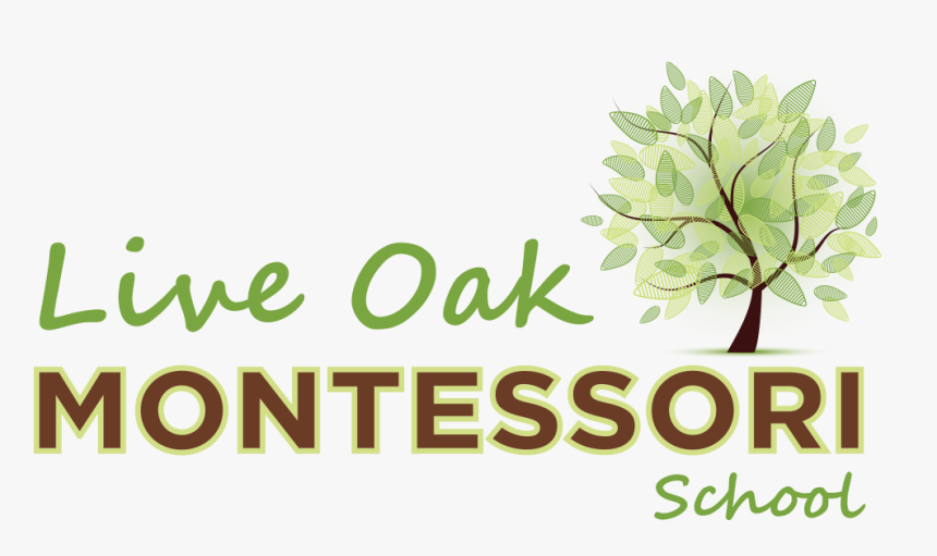 Live Oak Montessori School - Wyncote Foundation, HD Png Download