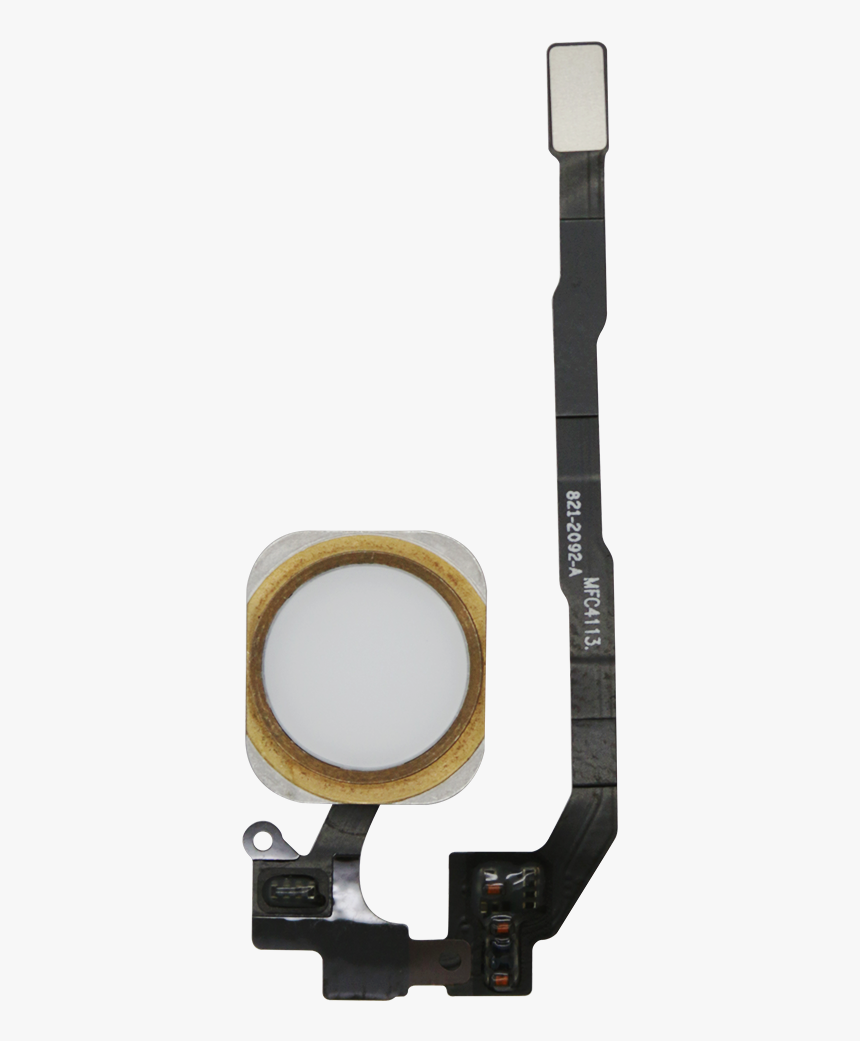 Iphone 5s White/gold Home Button Assembly, HD Png Download