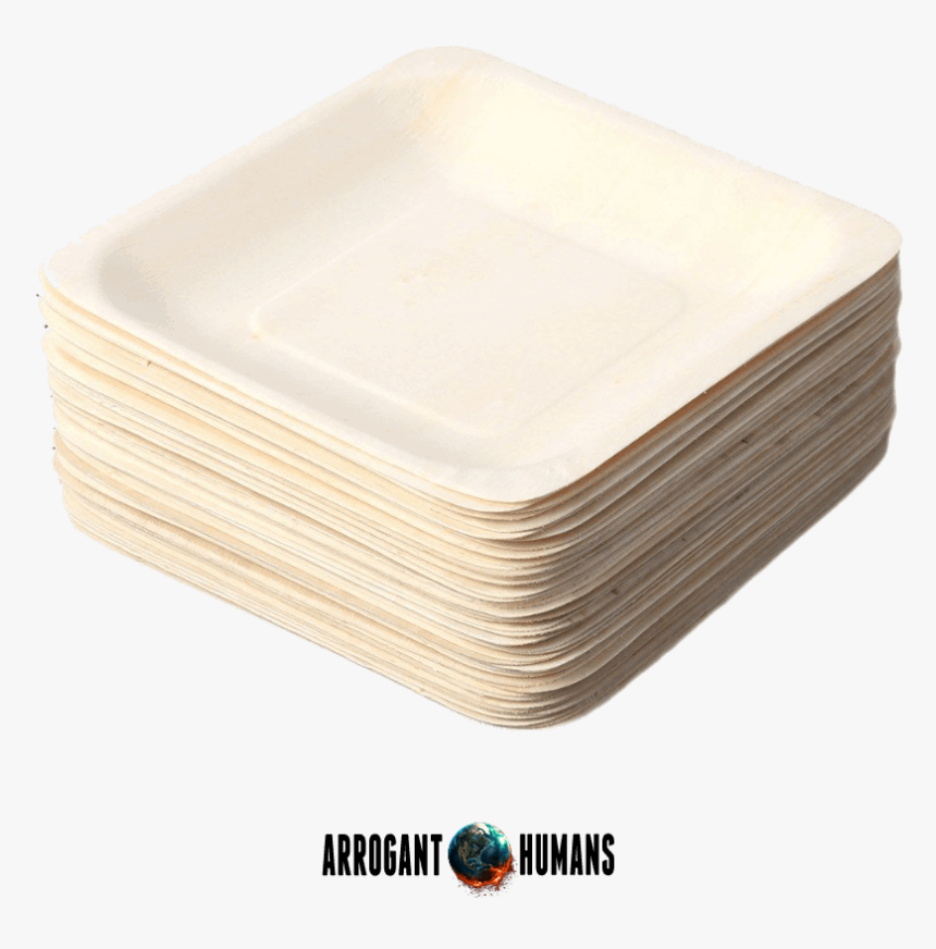 Transparent Paper Plate Png - Knowing Movie, Png Download