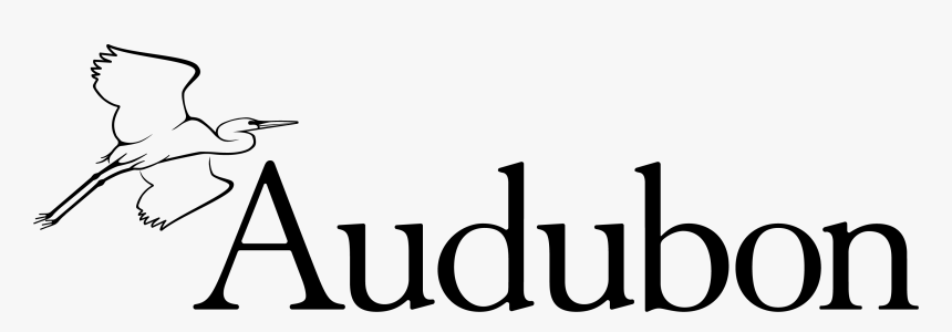 National Audubon Society Logo, HD Png Download