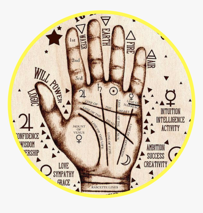 Palm Reading Hand - Harry Potter Palm Reading, HD Png Download