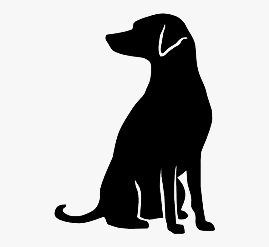 Hd Free Unlimited Download - Dog Catches Something, HD Png Download