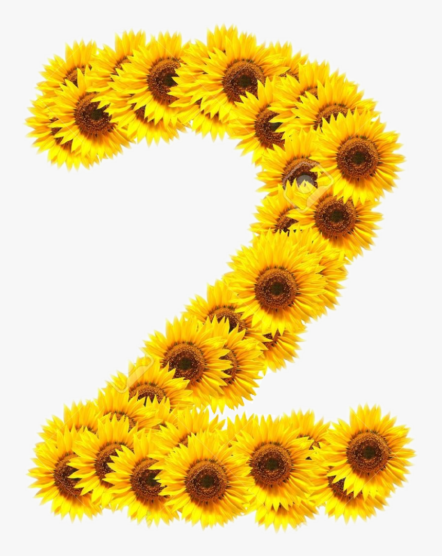 girasoles? #numeros #freetoedit - Numeros Girasol Png, Transparent Png ,  Transparent Png Image - PNGitem