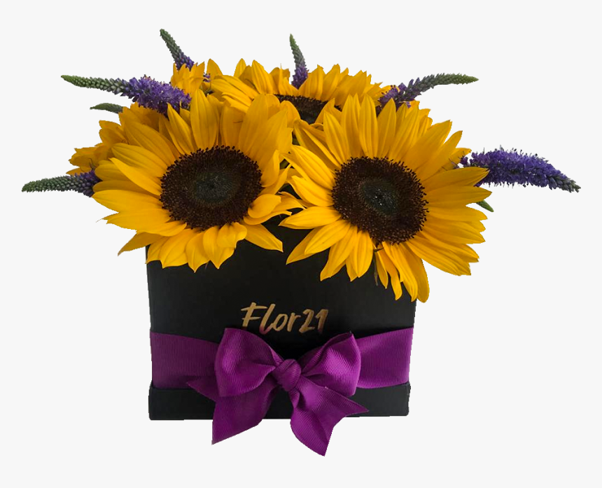 Atrás - Bouquet - Bouquet, HD Png Download